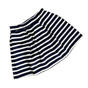 Chicwish Navy and White Mini Skater Skirt